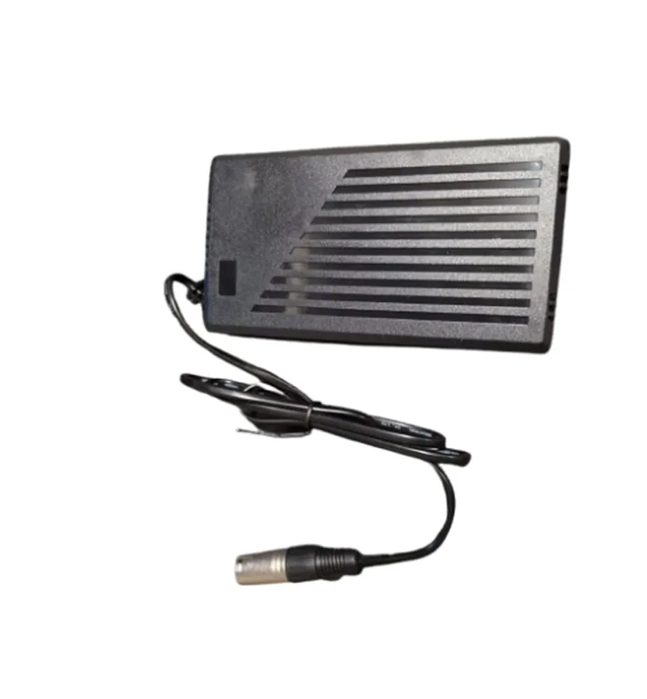 Cargador 24 V